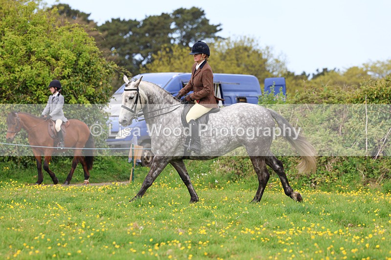 3E7A1287 - Class 7: Ridden Hunter Type