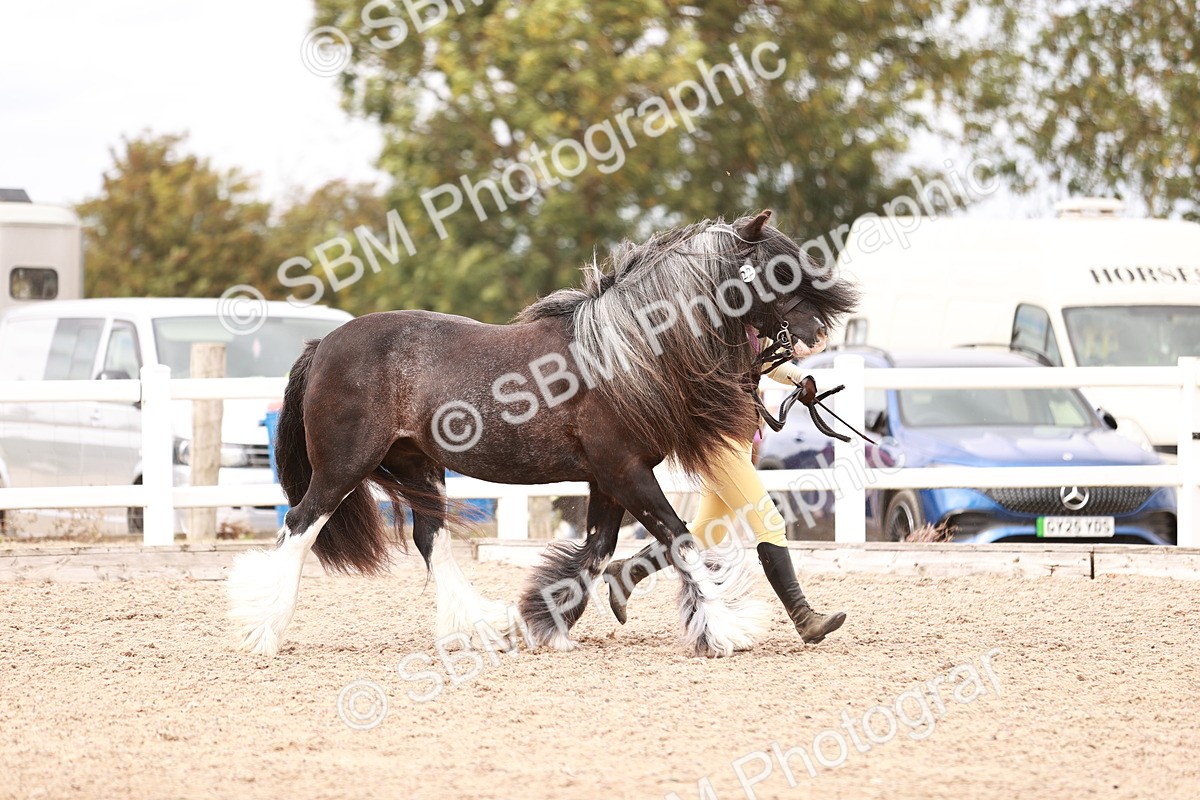 SBM_16289 - Class 413 - Best Condition - Adult