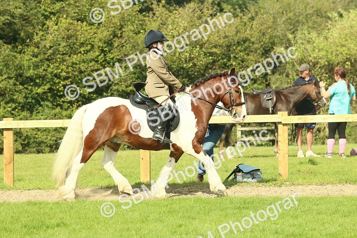 SBM_67422 - S56 - Coloured Pony Ridden