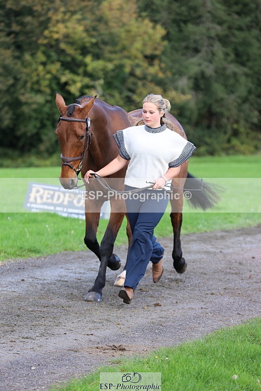 251026A-102654-22996 - E-386-Zara.Head