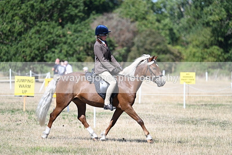 WJ7_4020 - Class 9 Mountain & Moorland Ridden