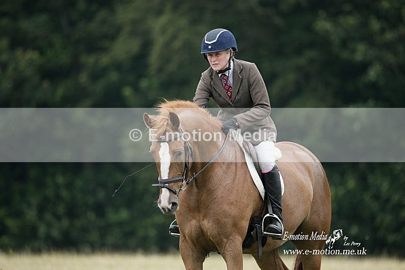 BVRC 030721 16 - Bourne Valley Riding Club Dressage 03/07/21