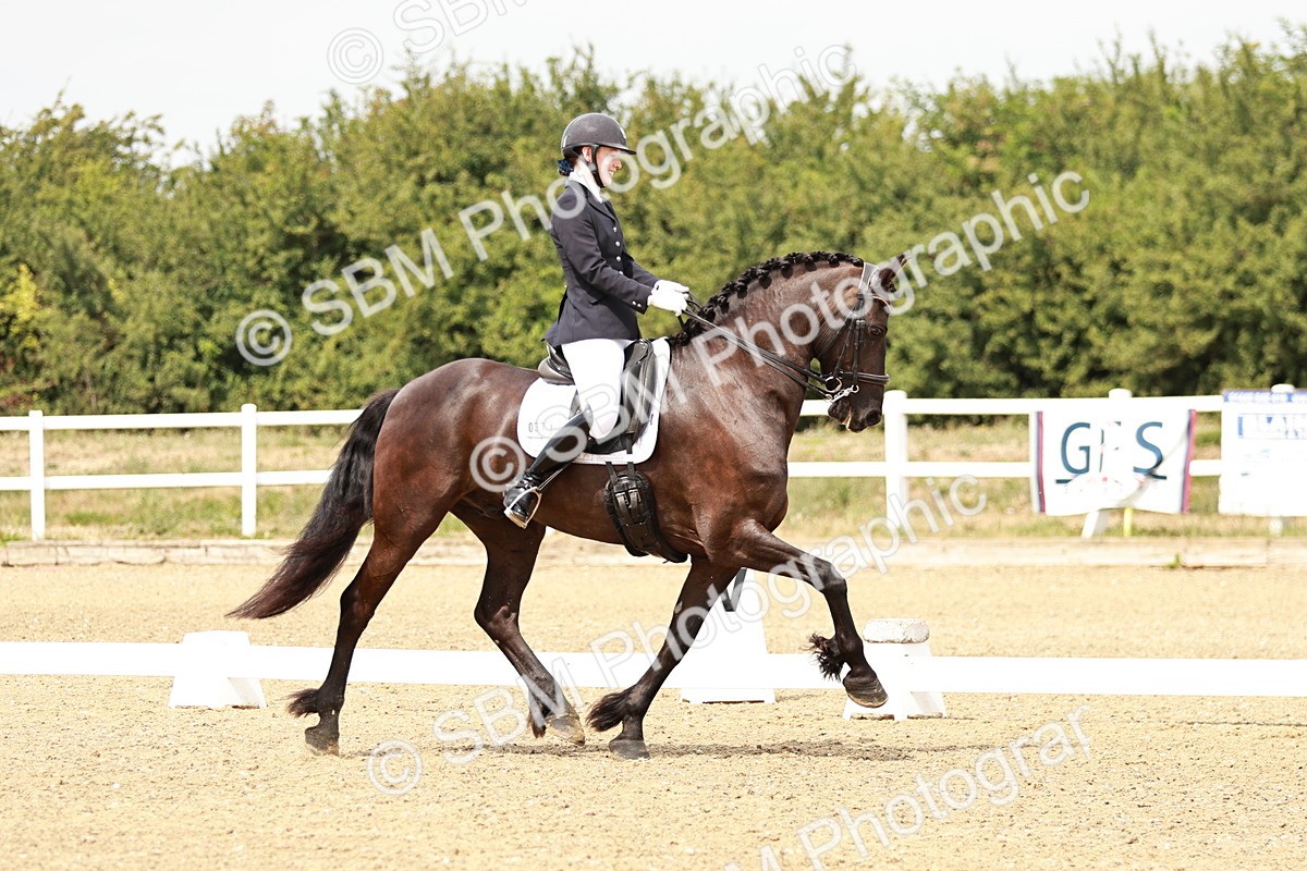 SBM_003692 - Class 7 - Advanced Medium 6 Gold - 13.16-14.36