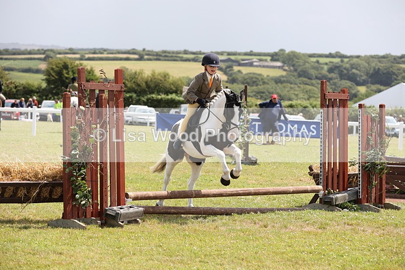 JPP_1806 - Class 18: Tiny Tots Working Hunter Pony