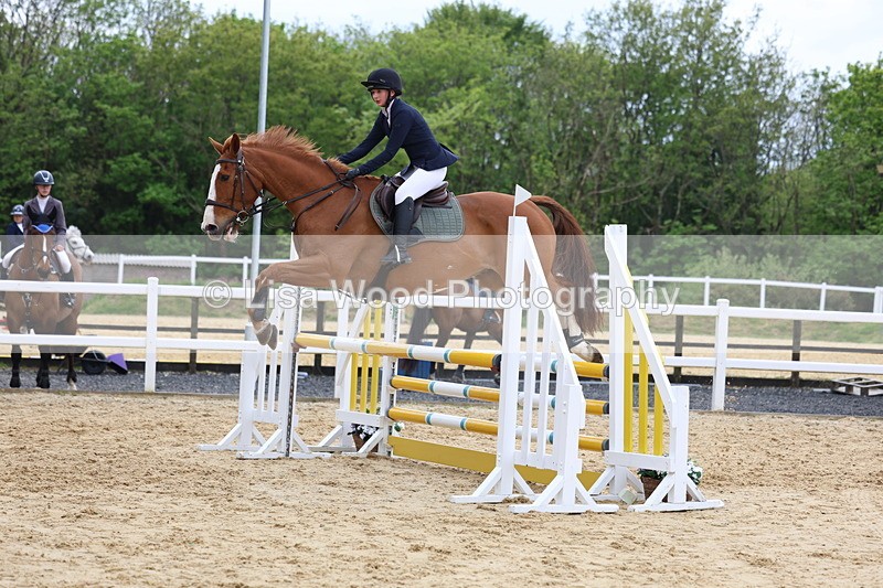 3E7A6264 - Class 4: Senior British Novice/90cm open