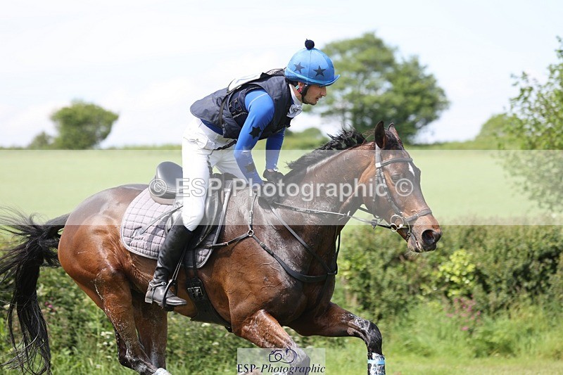 240525-141141-14540 - 162-HAZZLE_DAZZLE-Henry_Hobby