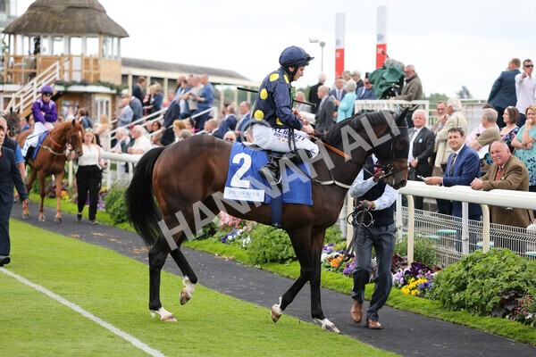 yr11062022r5-7 - Race 5 3.40pm The Pavers Foundation Catherine Memorial Sprint Stakes