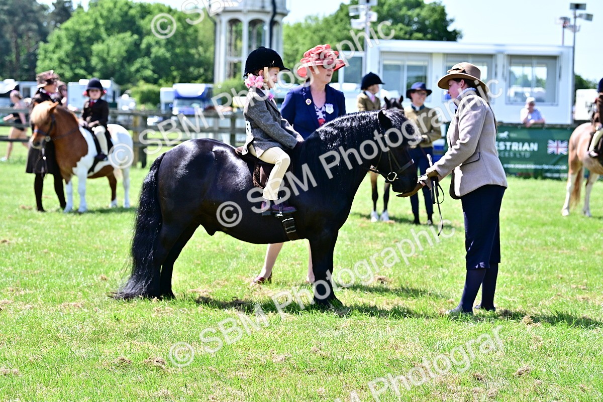 SBM_05858 - Class 59-60 - TSR M&M  Lear Rein and First Ridden Amateur of the year