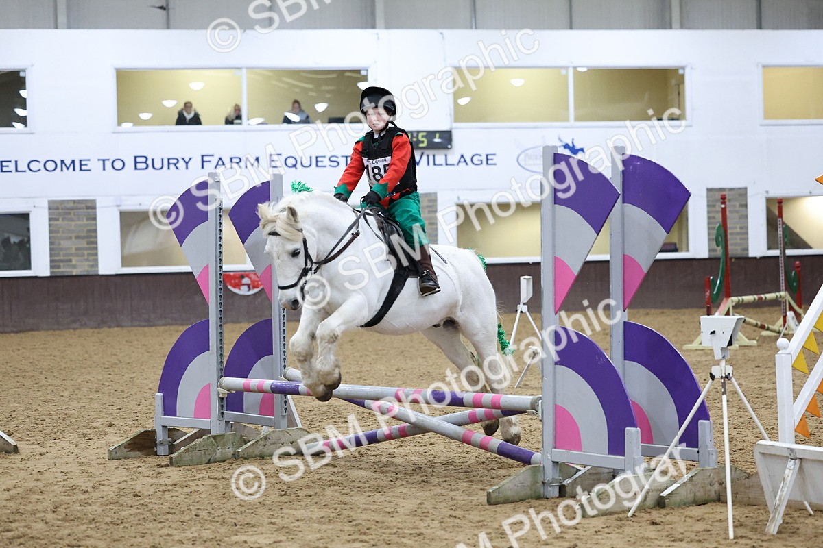 SBM_001206 - Class 3 - Christmas Tree Stakes - 60cm