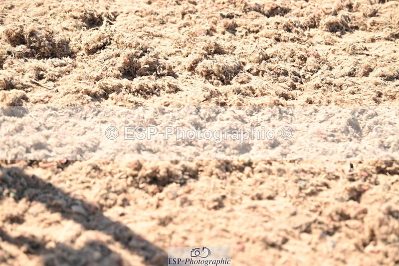 240419A-155709-08777 - Cls 14, 1 Star Bronze Tour 1.10m