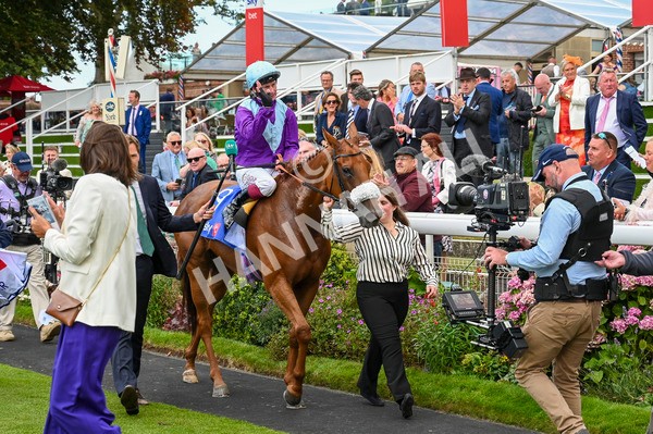 240824-Race 1-See The Fire-0375 - Race 1 1.50pm Sky Bet Strensall Stakes