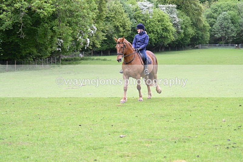 WJ7_2767 - Group 8 A&B Cameras