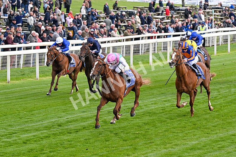 140526-Race 5-Item-0267 - Race 5 4.05pm Al Basti Equiworld Dubai Dante Stakes