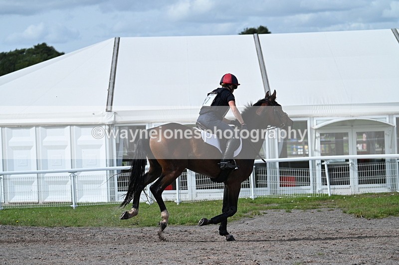 WJ7_2439 - Time 13:55 to 14:05