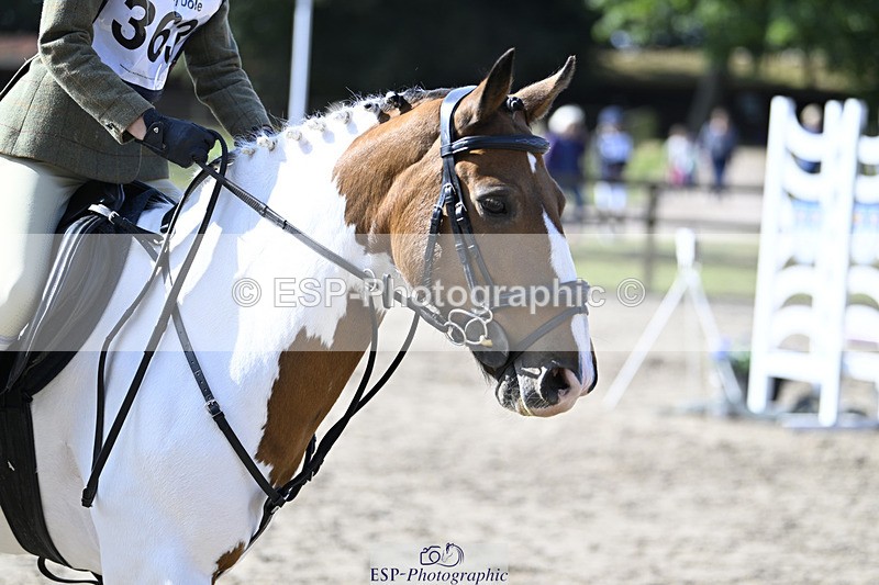 240823X-100626-15054 - 60cm R2 9.30 to 11.00