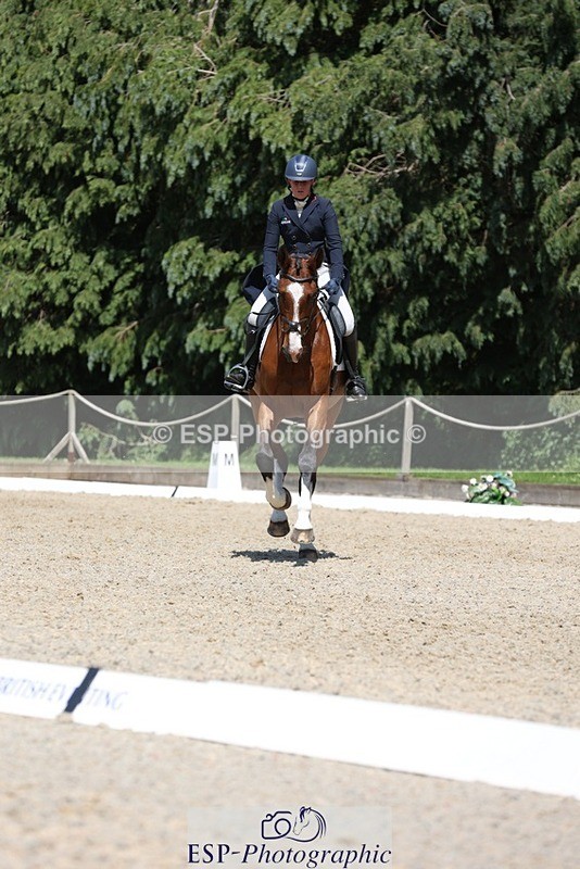 230526-141548-06487 - 372-INDYGO_BLUE-Jess_Butler-WEDTrotUp+DR