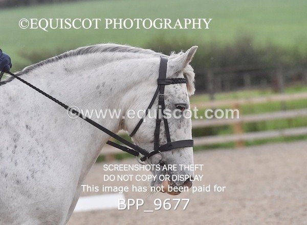 BPP_9677 - INTRO 3