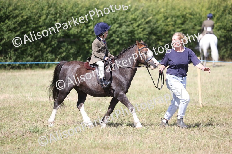 20260906-2819 - Class 25 - Absolute Beginners Pony