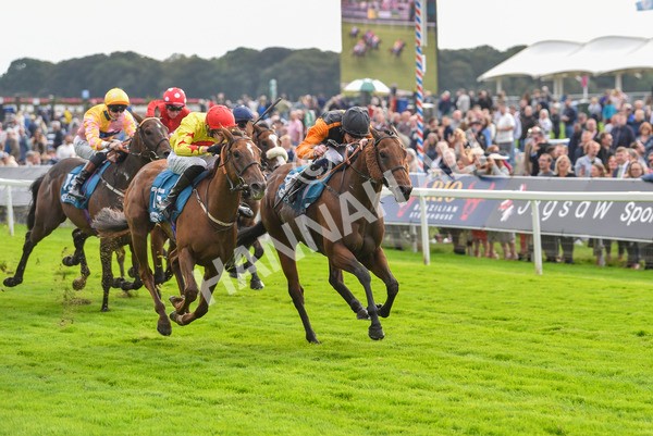 230923-Race 4-Aphelios-6496 - Race 4 3.45pm Jigsaw Sports Branding Handicap