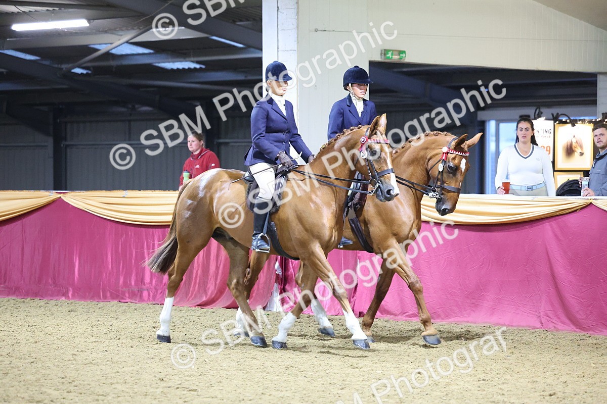 0B8A4327 - Class M Ridden Pairs Champ