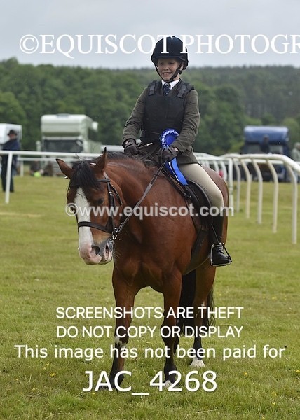 JAC_4268 - WORKING HUNTER CHAMPIONSHIP