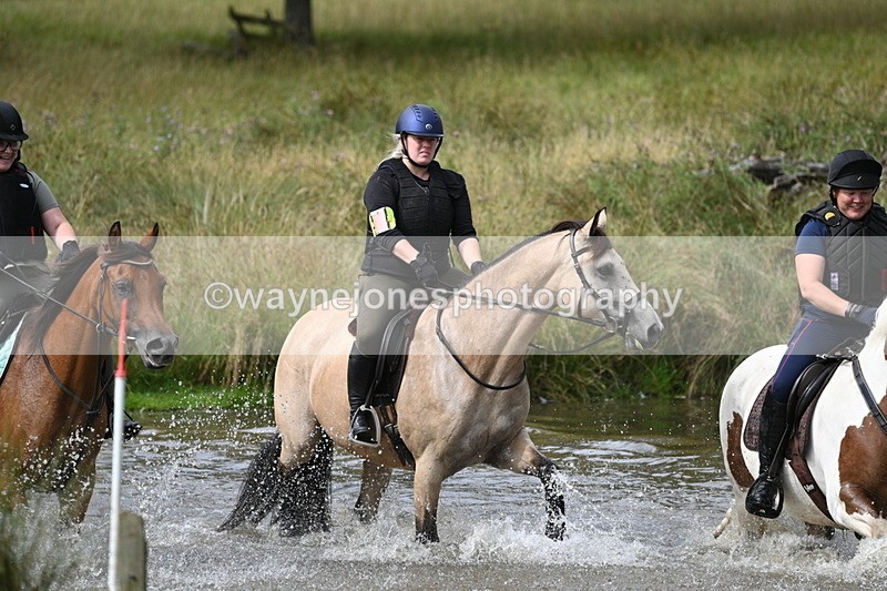 WJ7_1598 - Time at Water 10:48 to 11:13