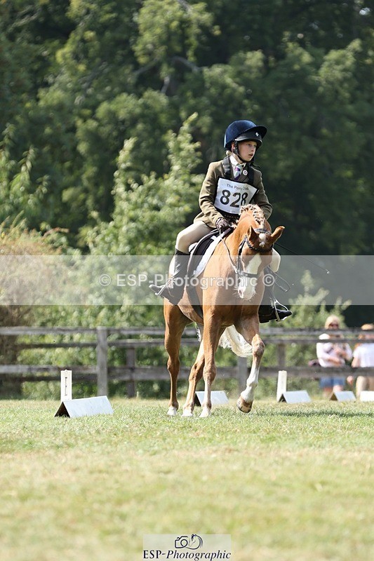 250823A-135556-31397 - Arena D