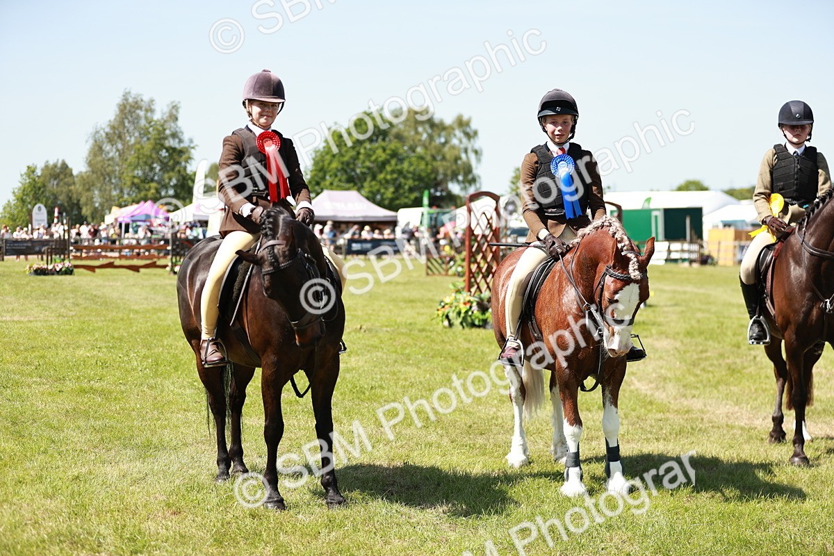 SBM_17661 - Class 112-113 - BSPS LIHS Working Sports Pony
