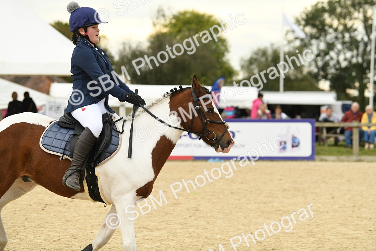 SBM_73182 - J16 - Junior Pony 75cm Championship