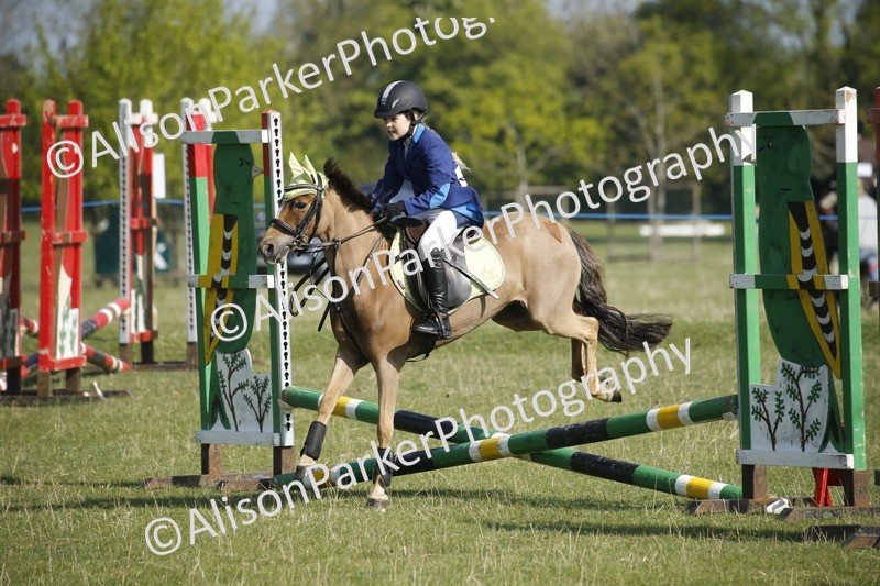 20250427-0361 - Class 12 - Rookie Jumping 40cm