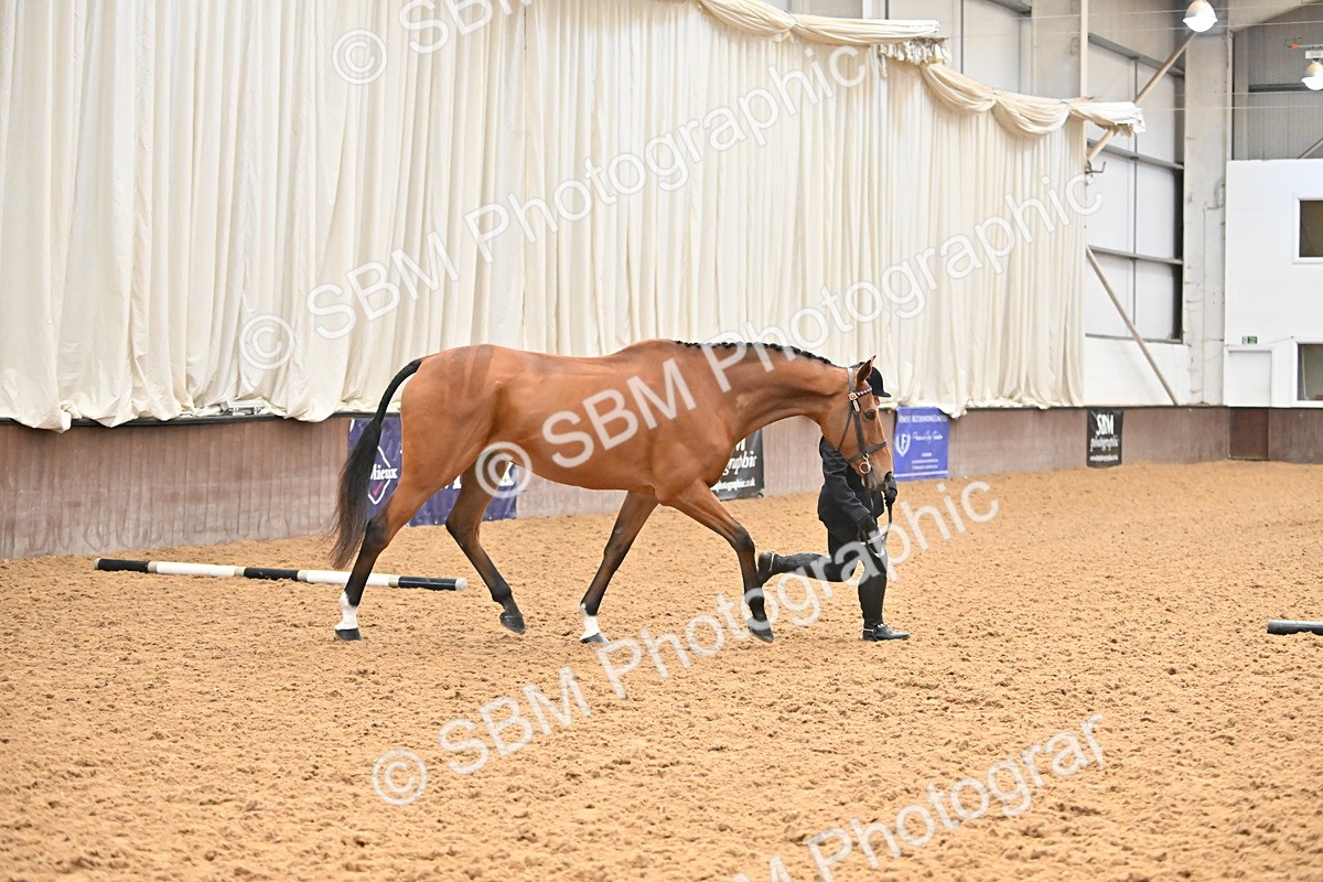SBM_000217 - Class 7 - ROR Tattersalls In Hand