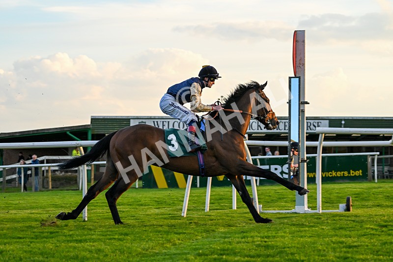 300424-Race 6-Kodi Lion-3107 - Race 6