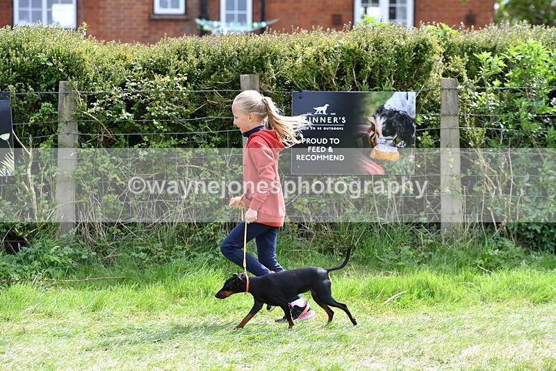 WJ5_0613 - Class 7 Best Terrier