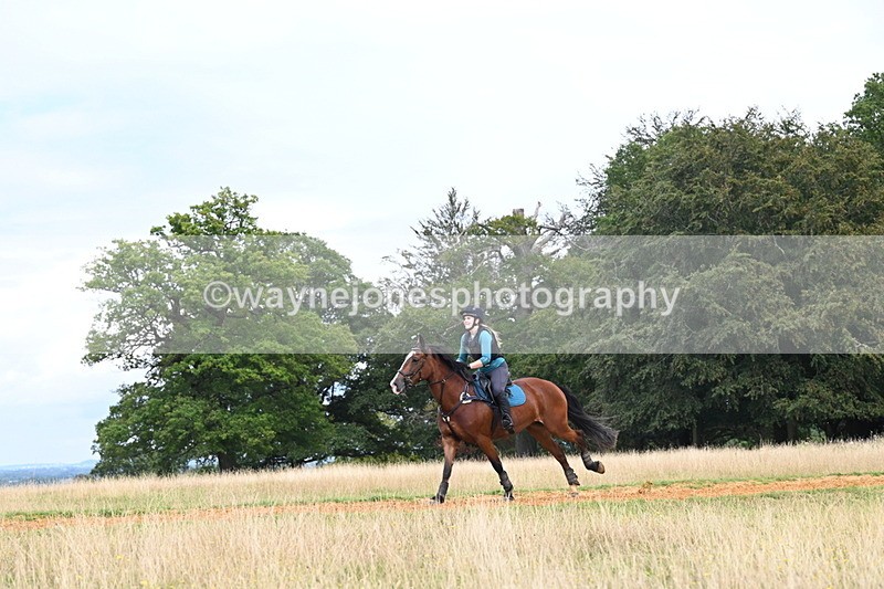 DSC_7689 - Time at Statue 13:16 to 13:52