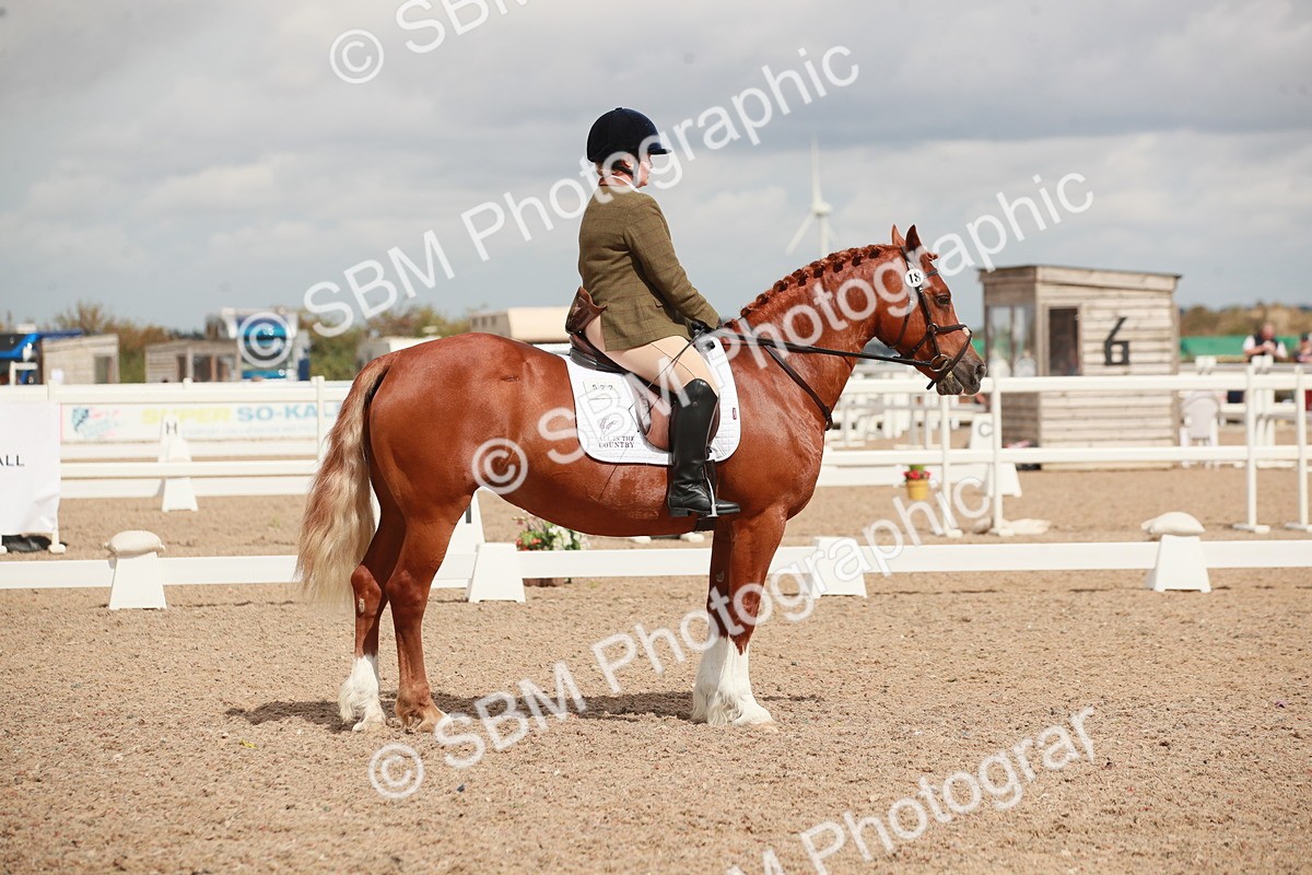 SBM_05876 - Class 32 - Novice 1