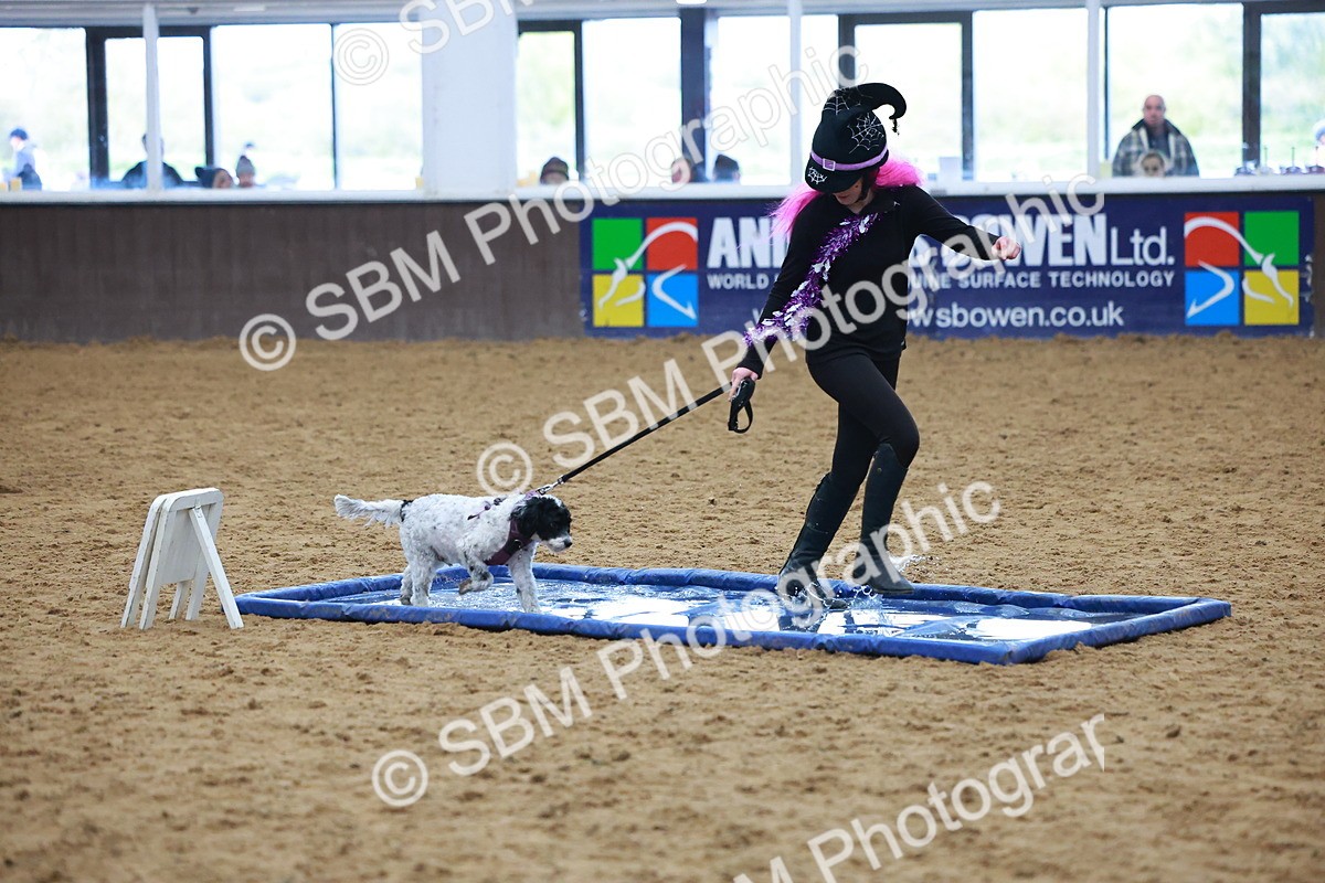 SBM_001575 - Class 3 - Horse & Hound (60cm)