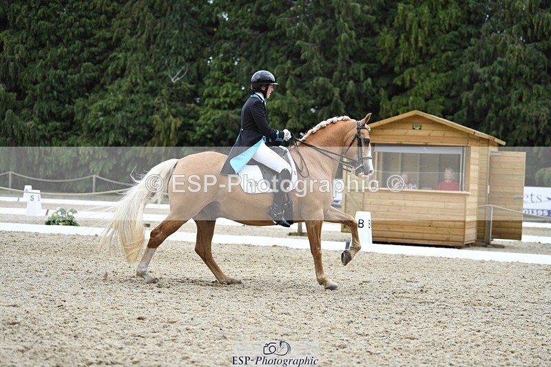 230812-142748-04702 - Cls 7 FEI PSG Bronze