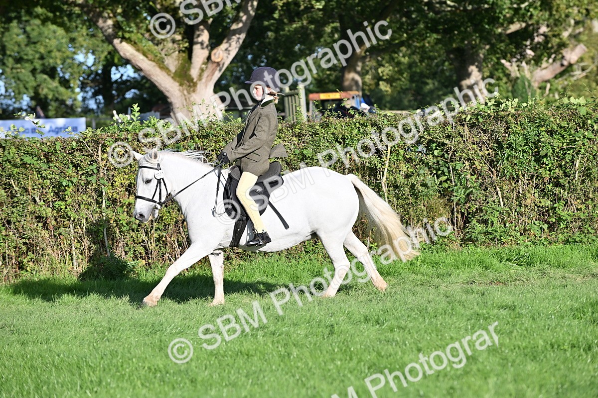 SBM_53061 - S23 - First Ridden Mountain & Moorland Pony