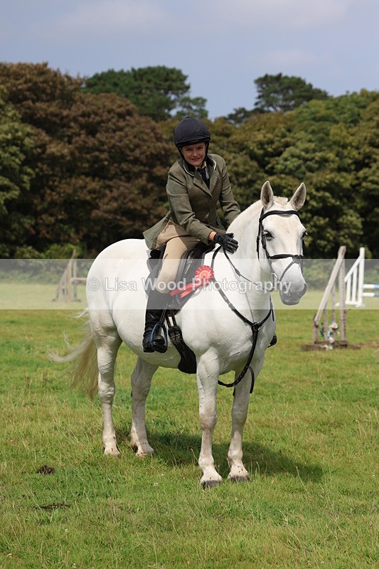 3E7A5917 - Class 26 and 27: 70cm Working Hunter