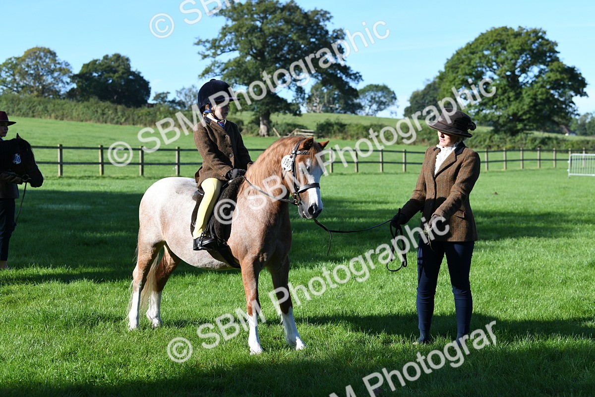 SBM_35429 - S17 - Condition & Turnout - Lead Rein