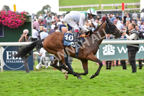 yr20082021r5-30 - Race 5 4.10pm British Stallion Studs EBF Convivial Maiden Stakes (Plus 10 Race)