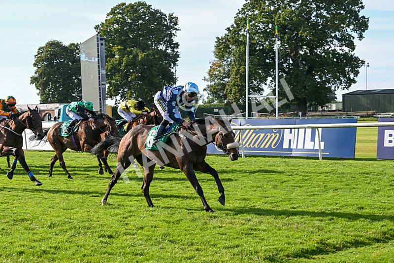 160924-Race 6-Count Palatine-3120 - Race 6