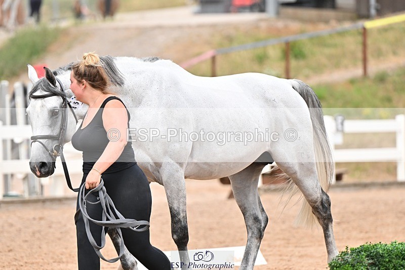 250716-162107-02589 - Trot Up 3.30 to 4.30