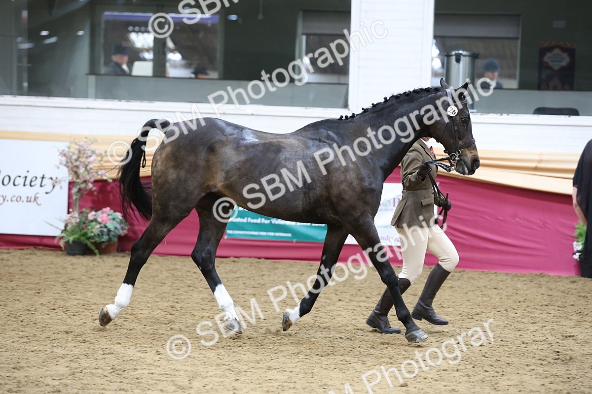 SBM_23635 - Class 904 - Supreme Final - Ridden Diamond