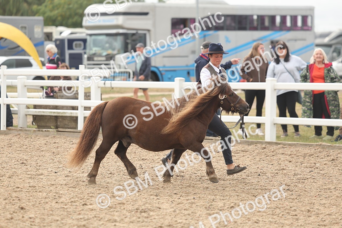 SBM_03172 - Class 16 - IH M&M Wildcard