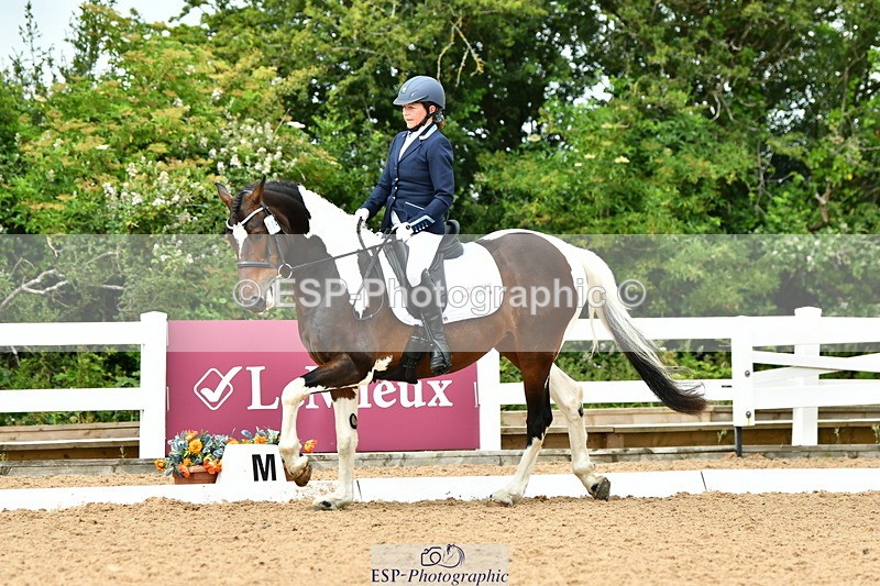 230702A-123038-09632 - Cls 28 Elementary 45