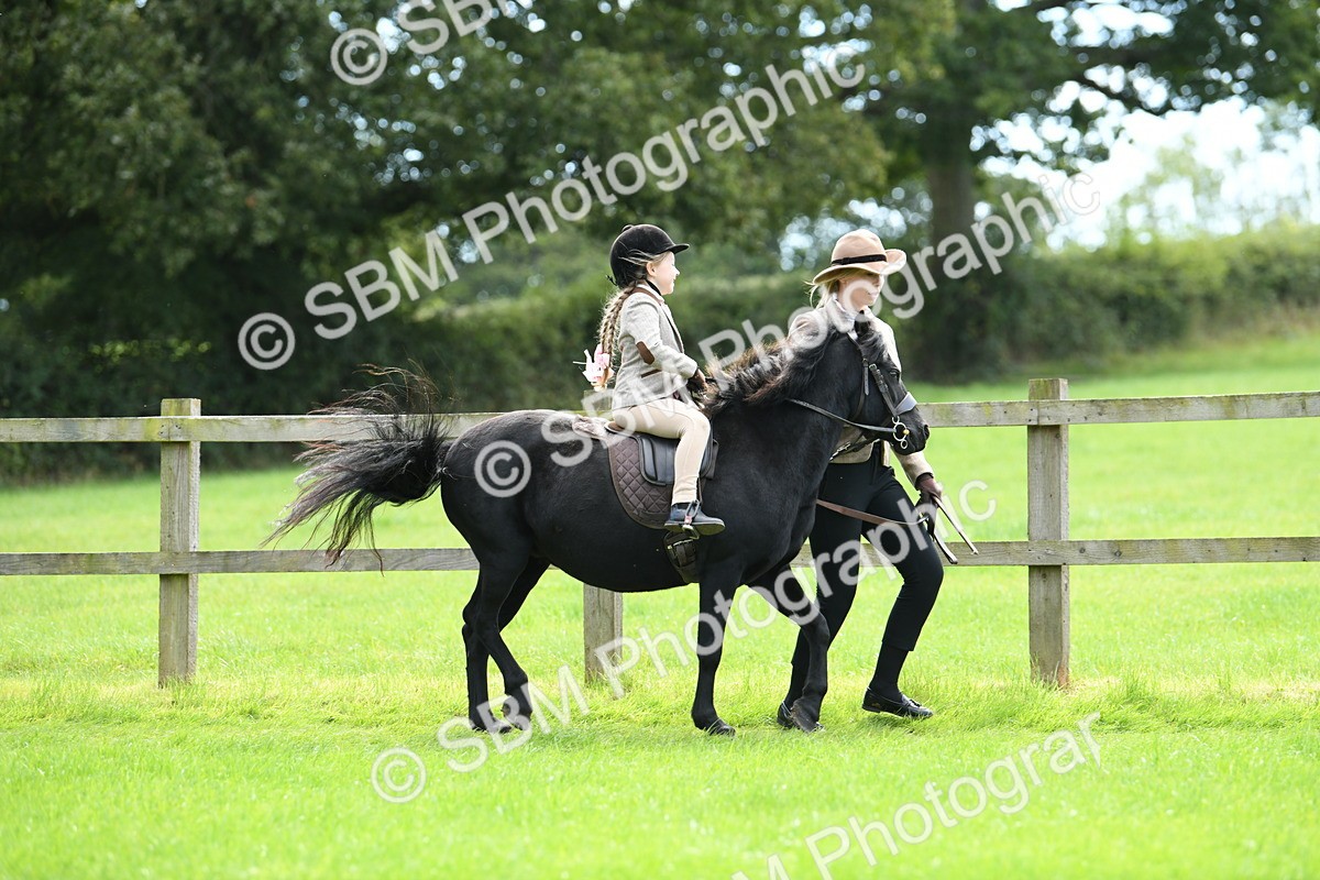 SBM_42546 - S20 - Lead Rein Mountain & Moorland Pony