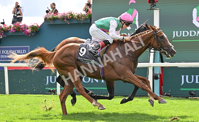 190826-131 Item - Race 4 15.35pm Juddmonte International Stakes
