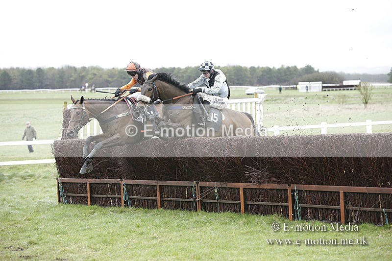PtP 150320 0219 - New Forest Point-to-Point Larkhill 15/03/20