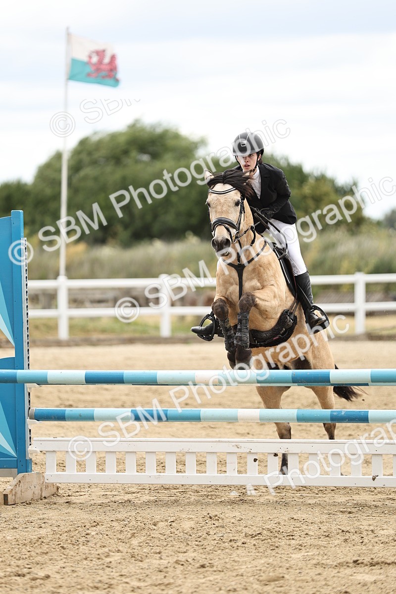 SBM_005810 - 90/100cm showjumping